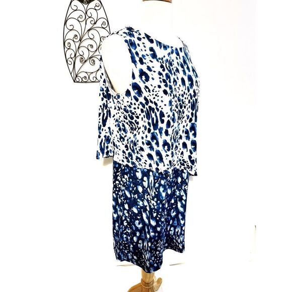 Chico’s Dress   - Picture 1 of 7